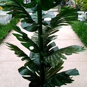 30 Inch Artificial Monstera/Palm Plant